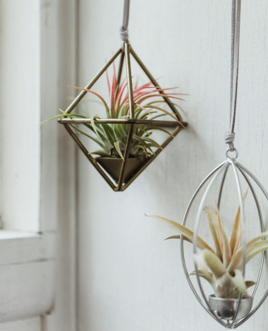 Metal Tilly Hanger Assortment With Suede Strap-image