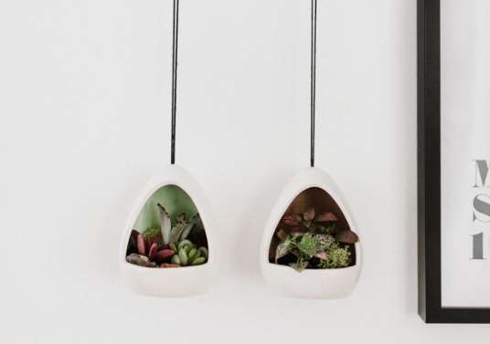Mod Pod Hanging Succulent Garden-image