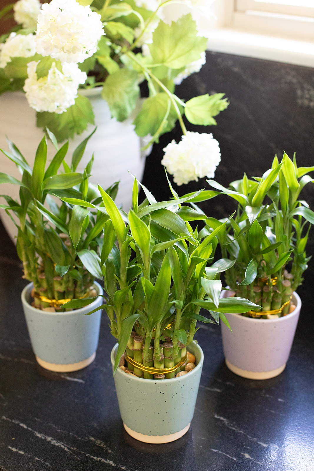 Spirit of Spring Planter-image