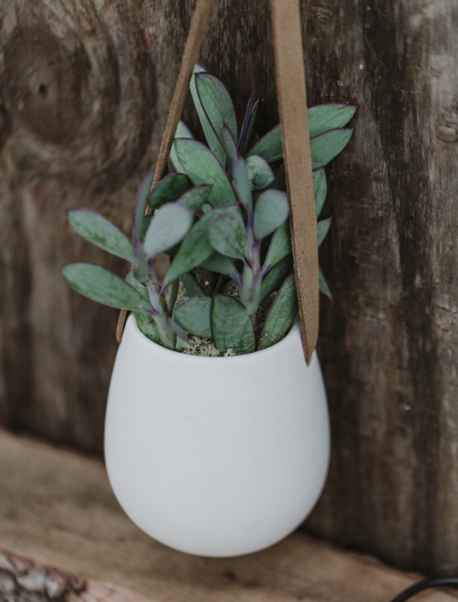 White Matte Hanging Succulent Planter-image