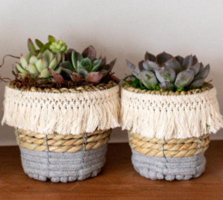 Fringe Woven Basket Succulent Garden-image