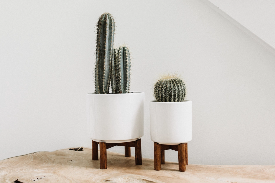 Midcentury Modern Succulent Planter-image