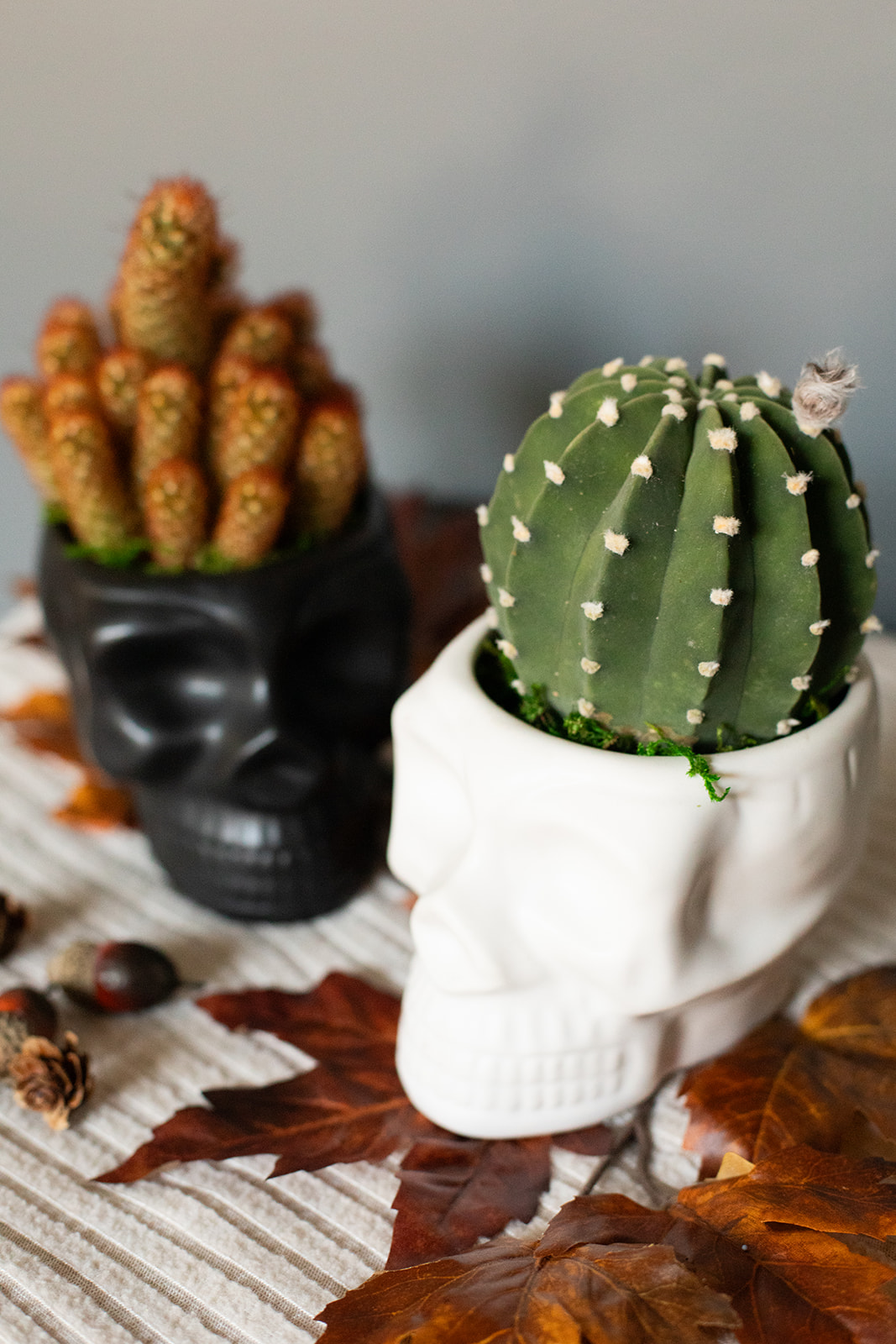Brain Cactus Skull Planter-image