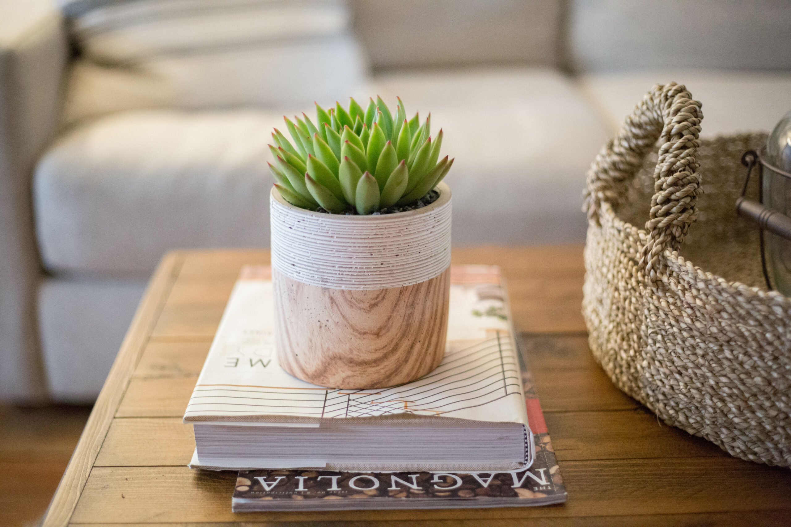 Concrete and Wood Succulent Planter-image