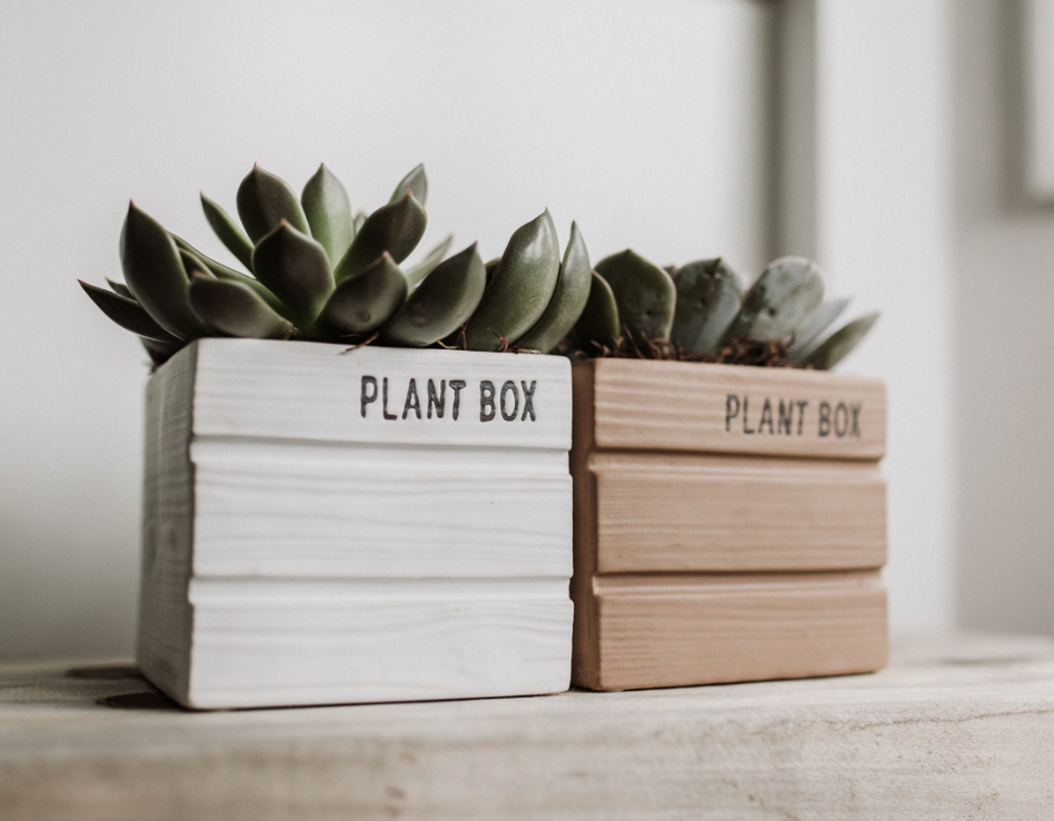 Farm Stand Succulent Planter-image