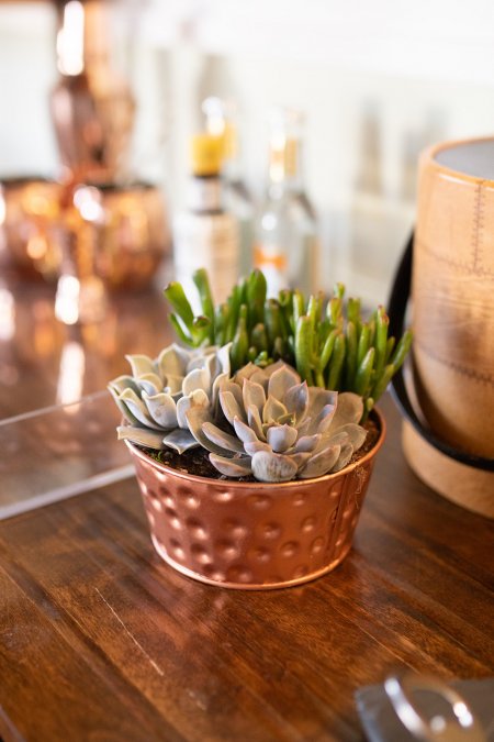 Hammered Tin Succulent Garden-image