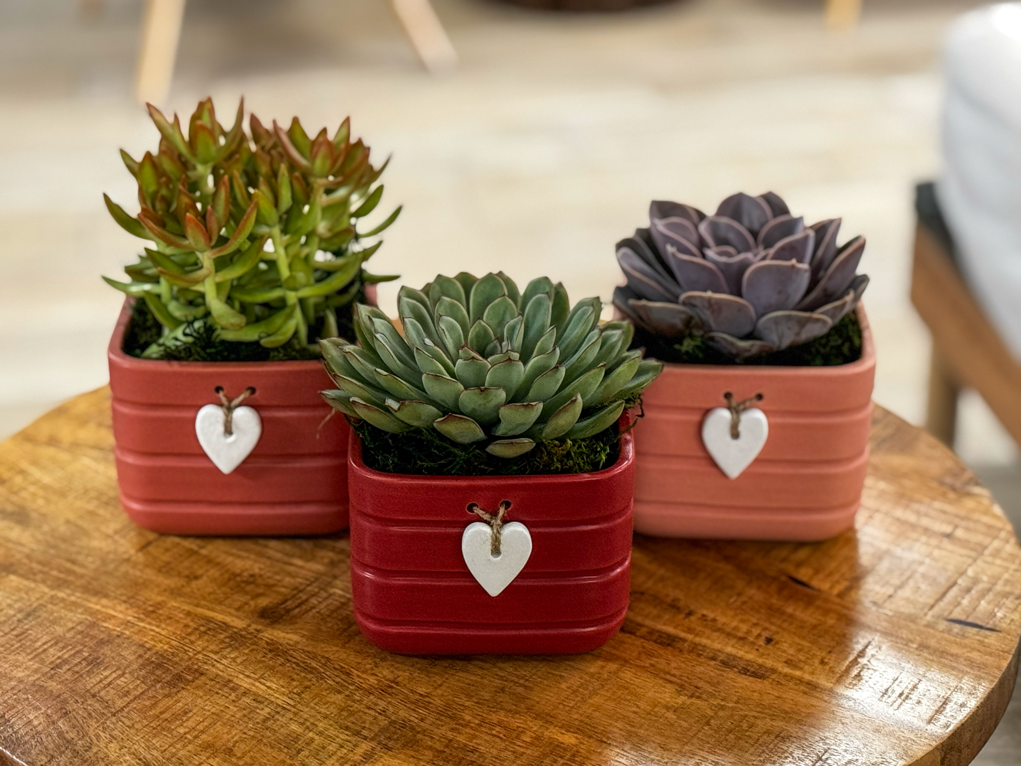 Heart Charm Succulent Planter-image