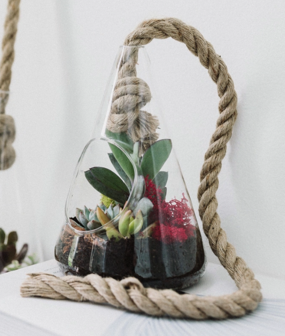 Rope Hanging Succulent Terrarium-image