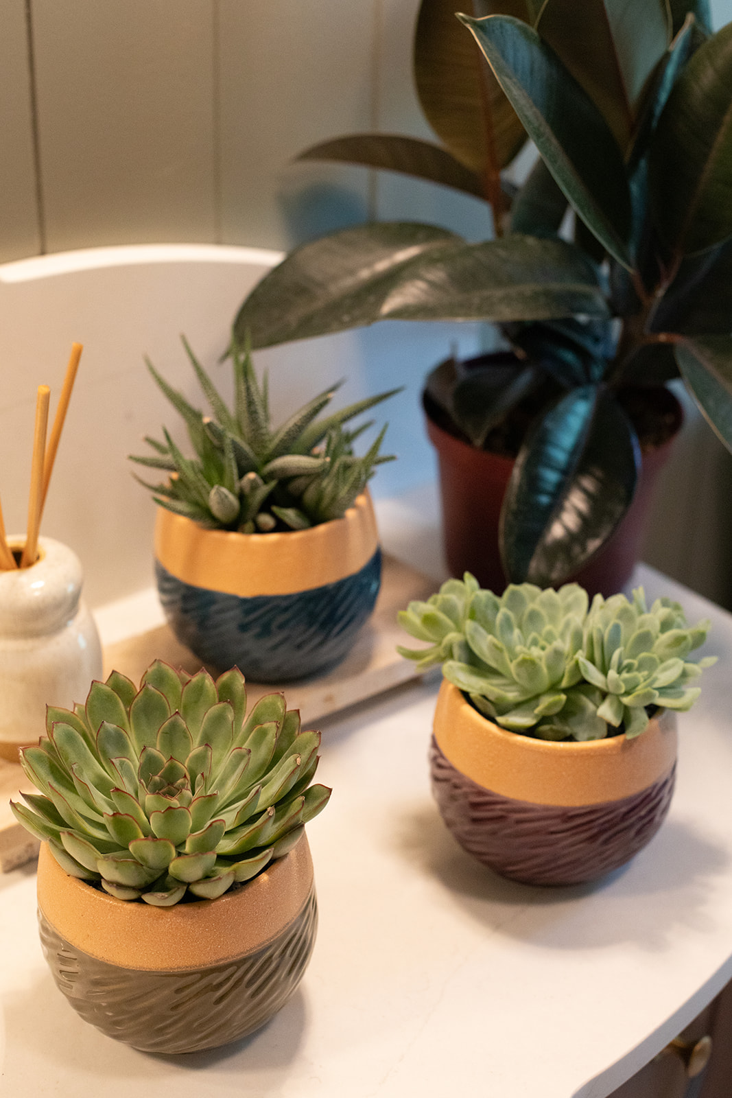 Sand Kissed Succulent Planter-image