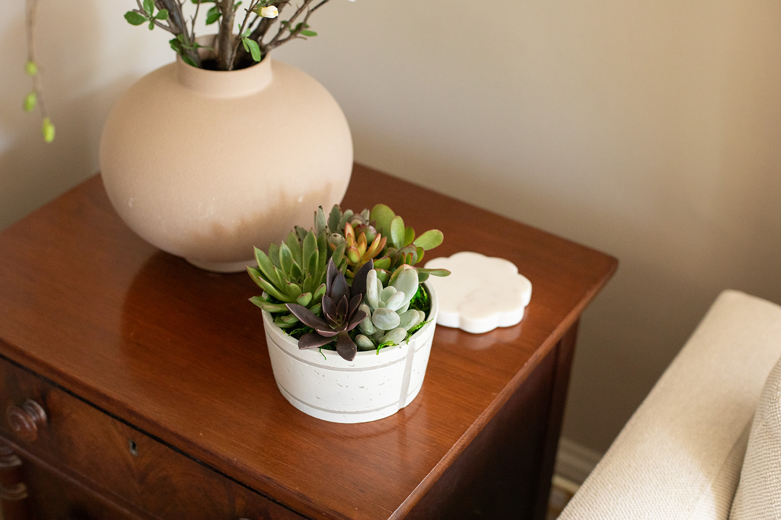 Sculpted Clay Succulent Garden-image