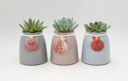 Sea Glass Succulent Planter-image