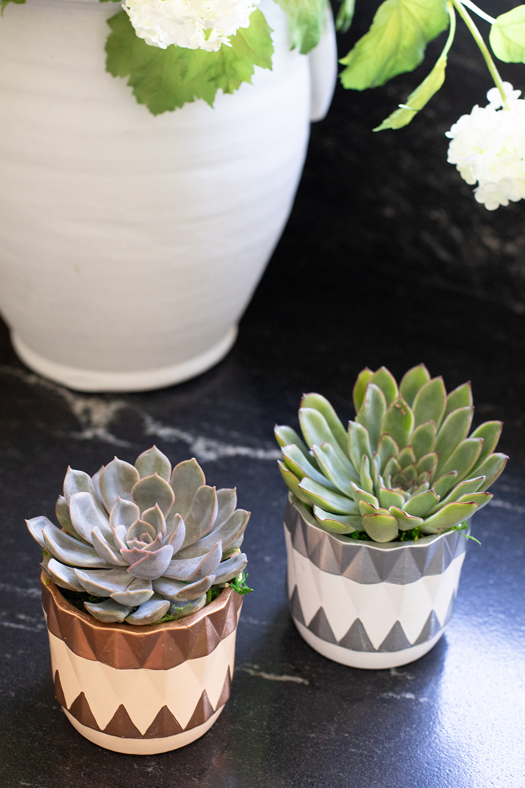 Triangle Bevel Succulent Planter-image