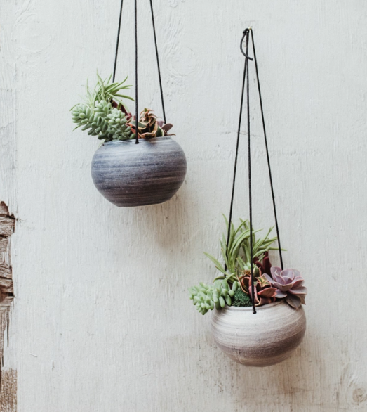 Water Color Hanging Succulent Garden-image