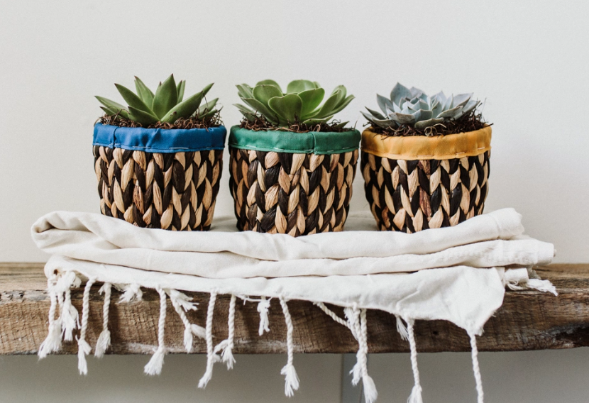 Woven Basket Succulent Planter-image
