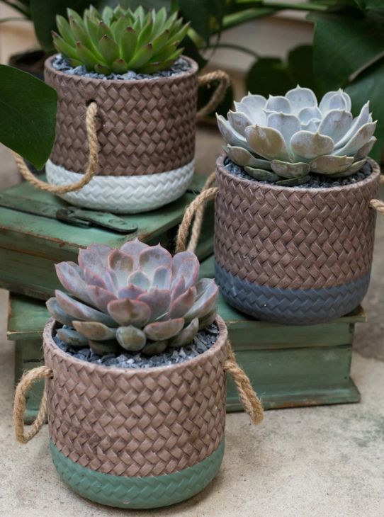 Cement Woven Basket Succulent Planter-image