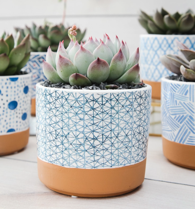 Indigo Succulent Planter-image