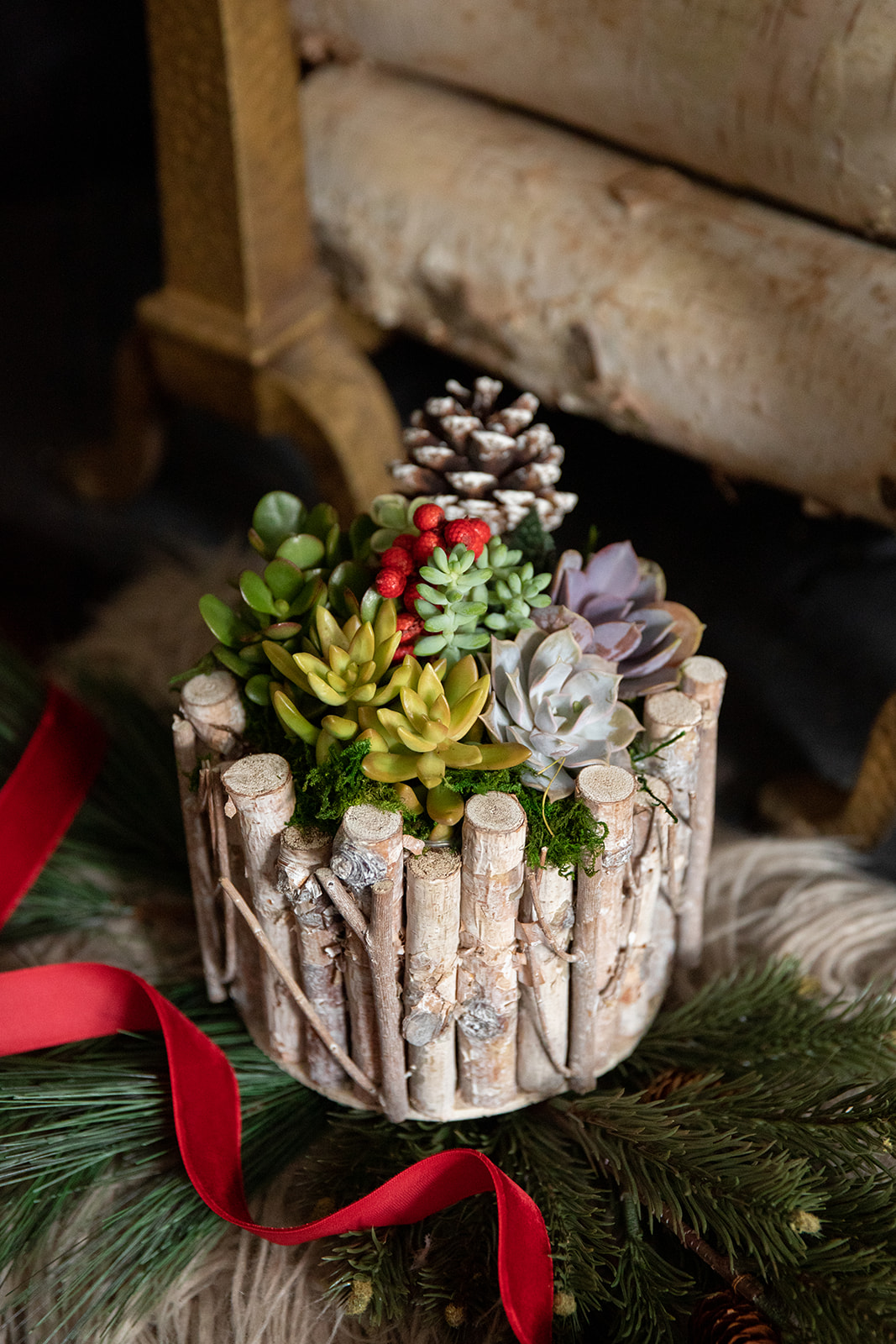 Winter Tidings Succulent Garden-image