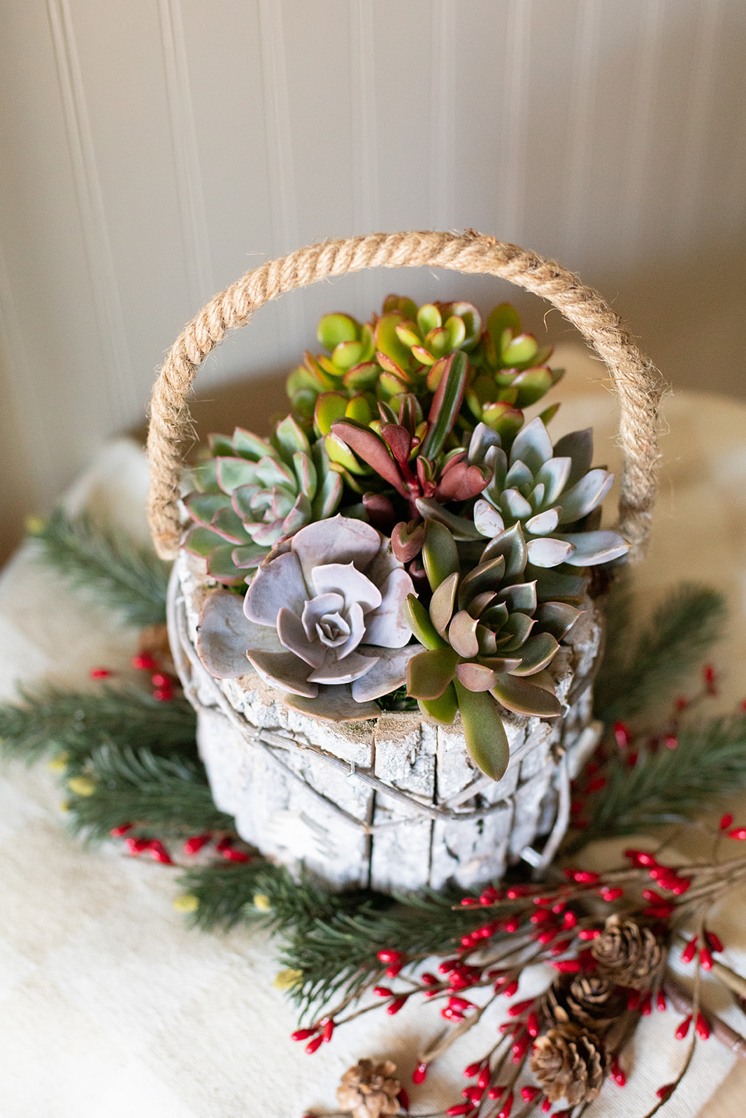 Cheerful Offering Succulent Garden-image