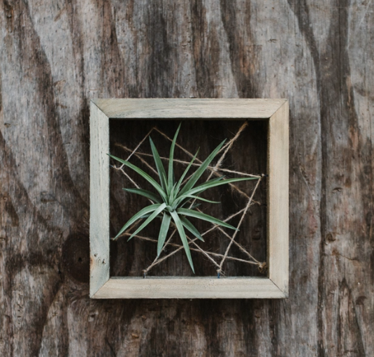 Totilly Floating Wall Decor-image