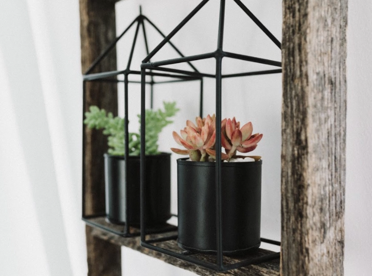 Grow Home Succulent Planter-image