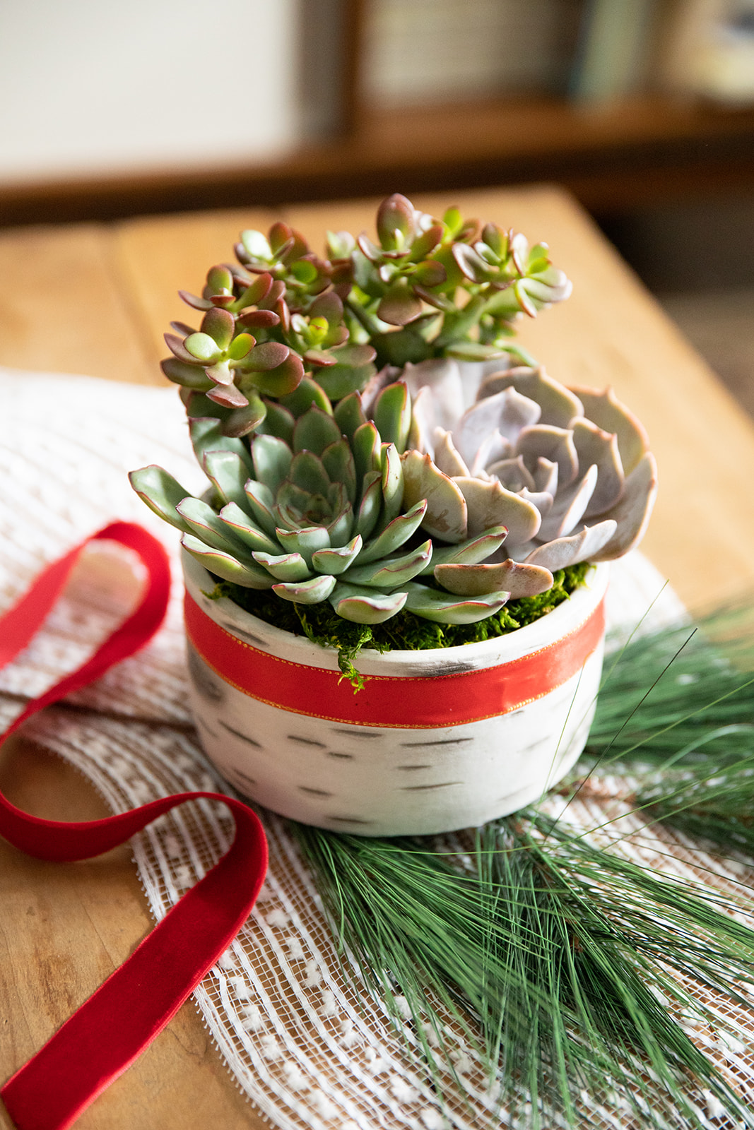 Winter Wonderland Succulent Garden-image