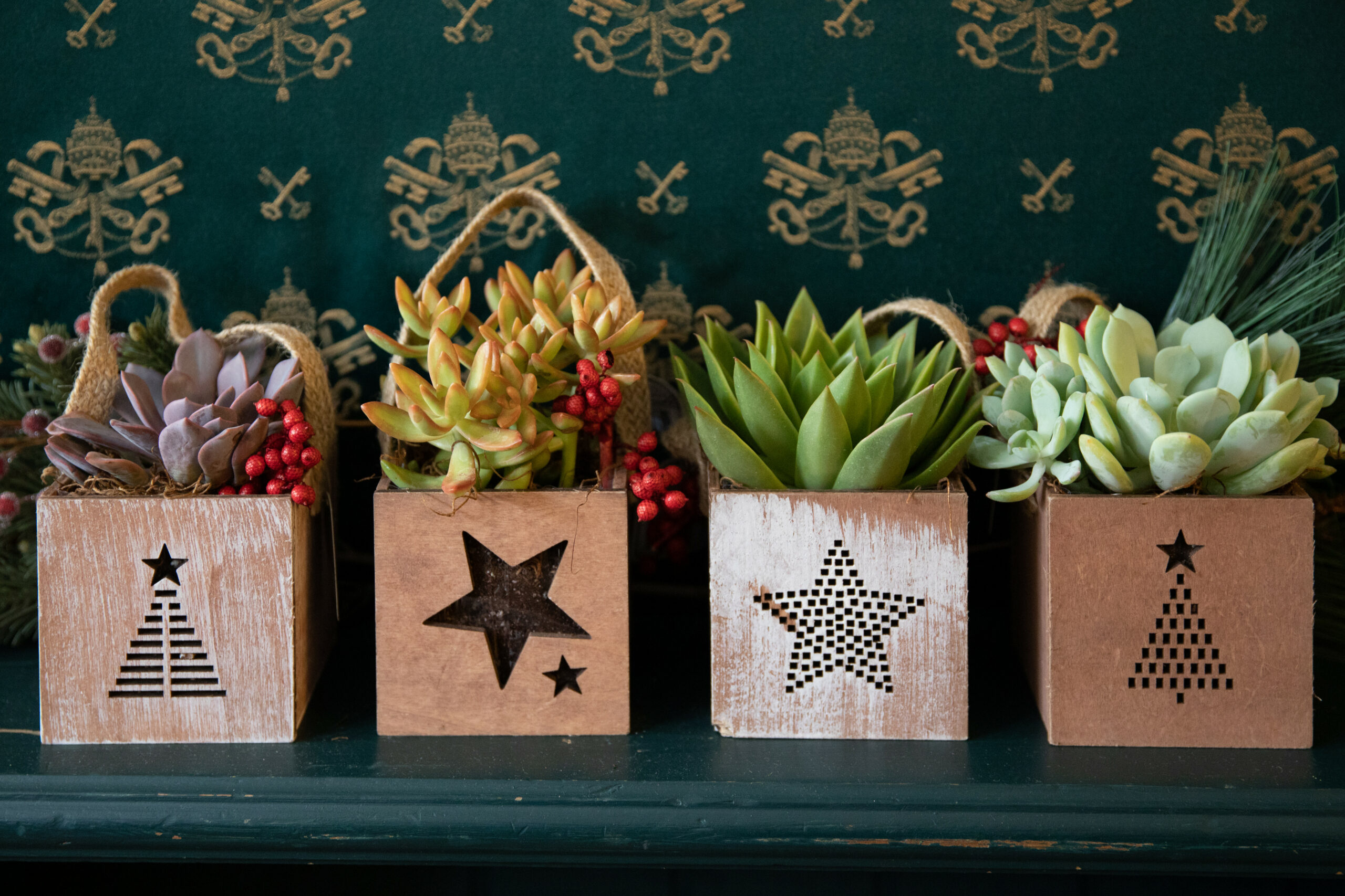Winter Wood Box Succulent Planter-image