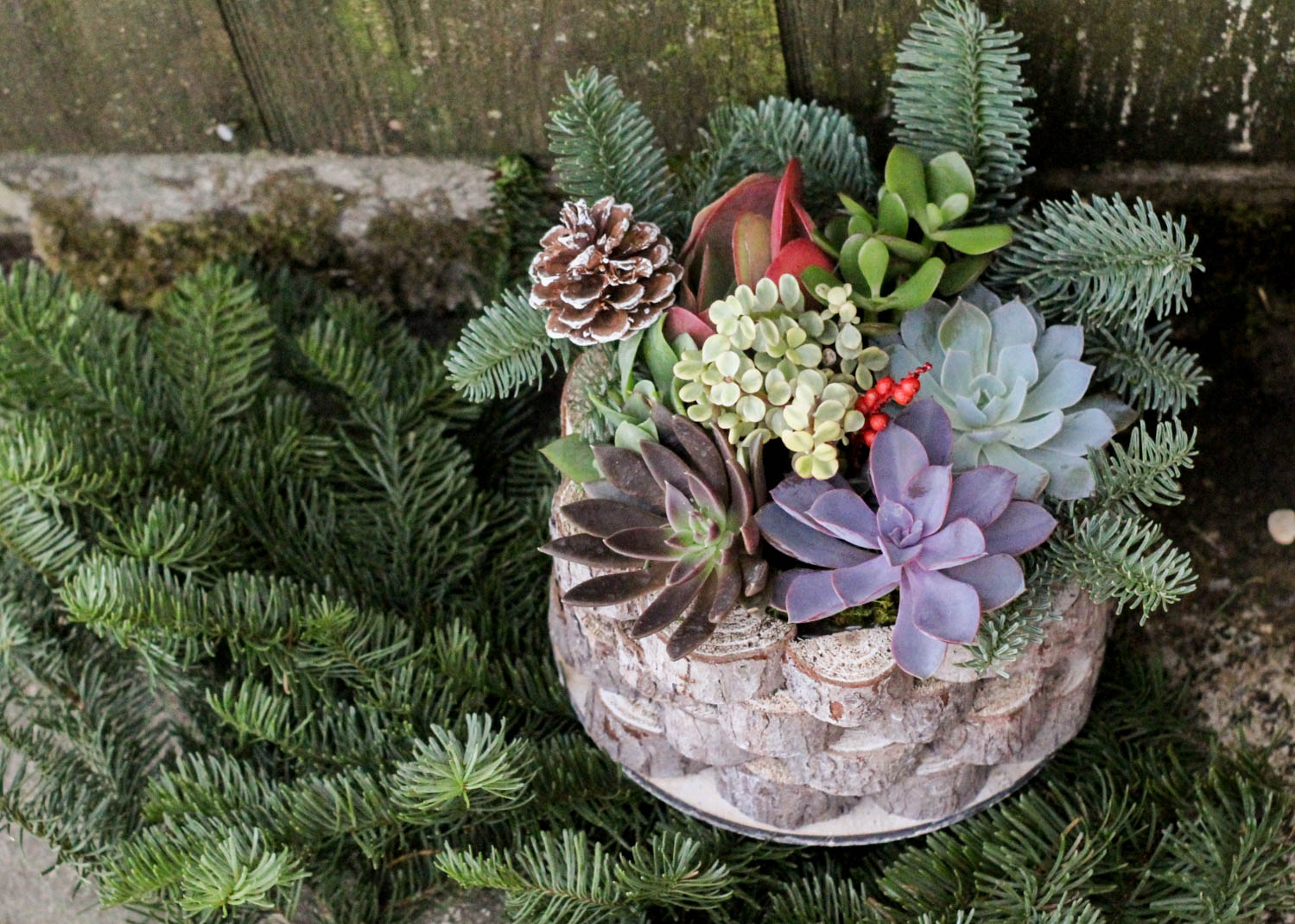 Stacked Birch Succulent Garden-image