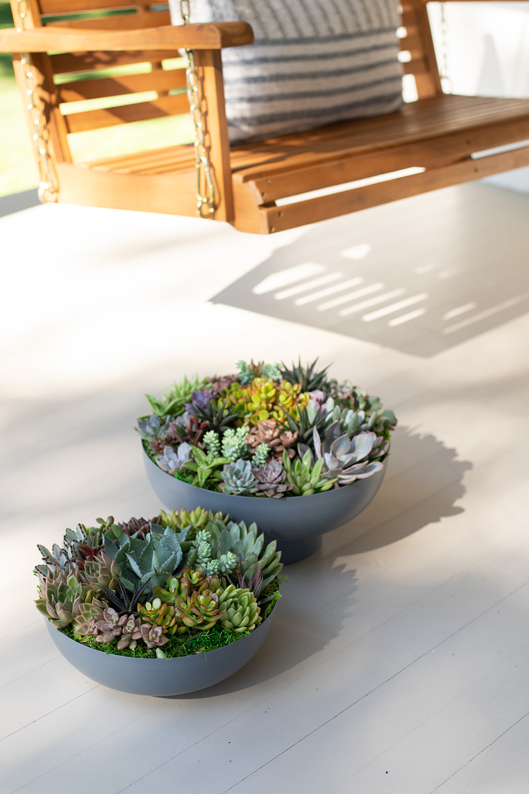Tin Bowl Outdoor Succulent Garden-image