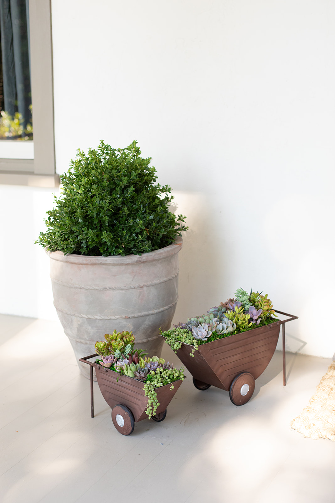 Wheel Barrow Outdoor Succulent Garden-image