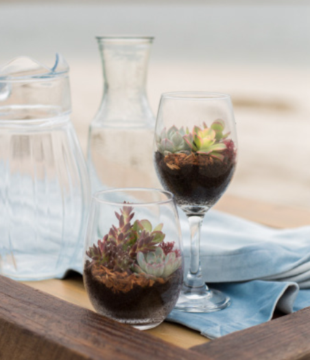 Wine Glass Succulent Terrarium-image